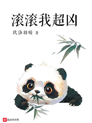 网络里pp是什么意思